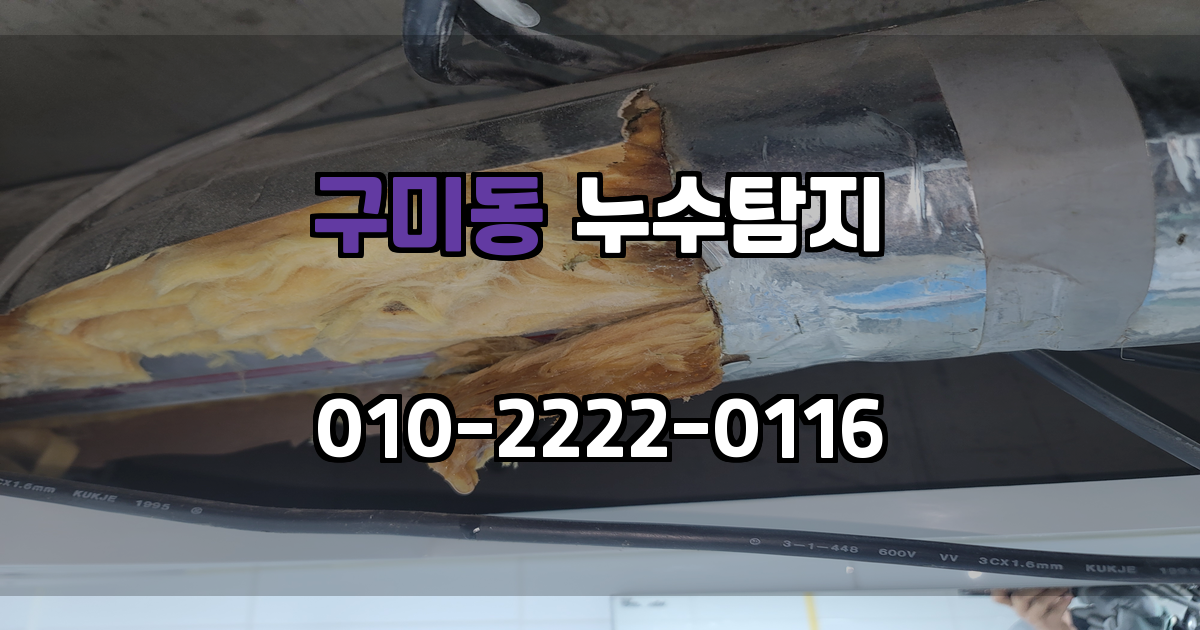 구미동 누수탐지