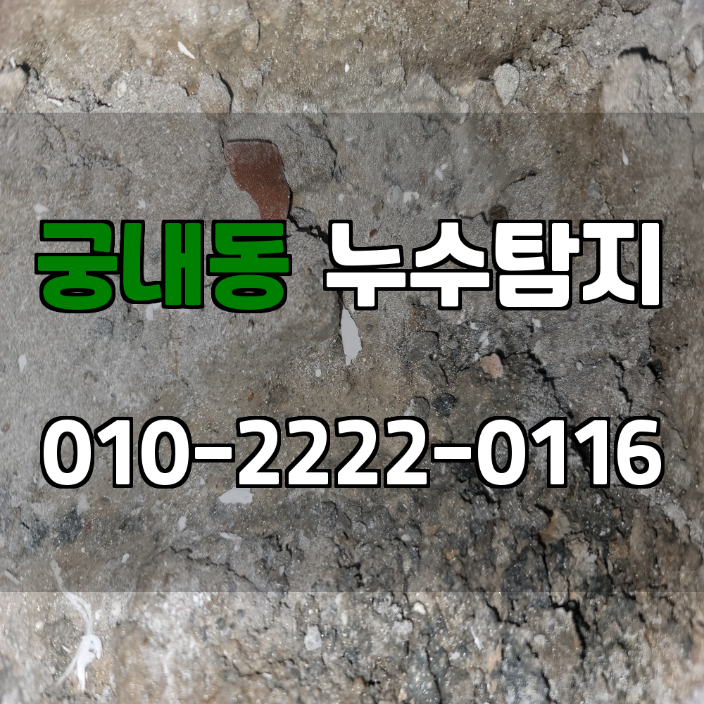 궁내동 누수탐지 서비스 지역