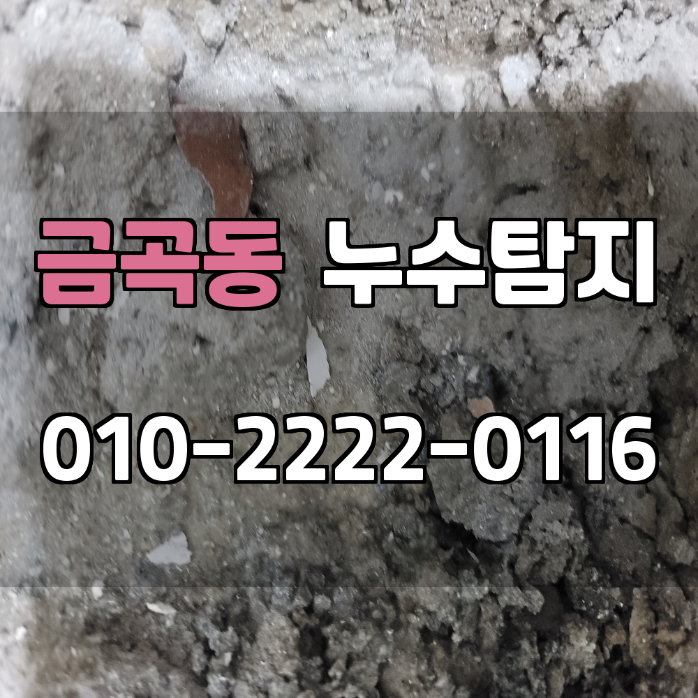 금곡동 누수탐지 서비스 지역