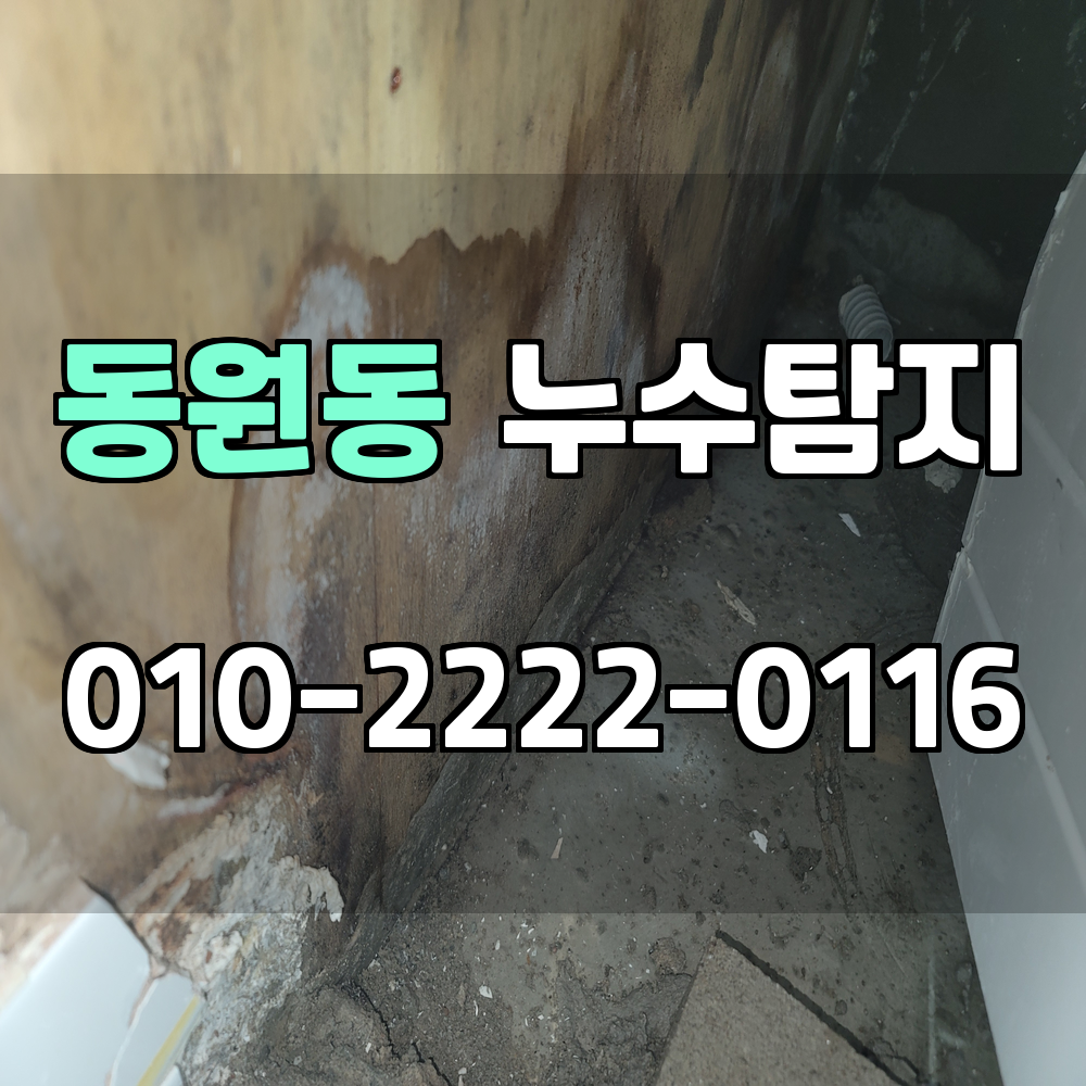 동원동 누수탐지 서비스 지역