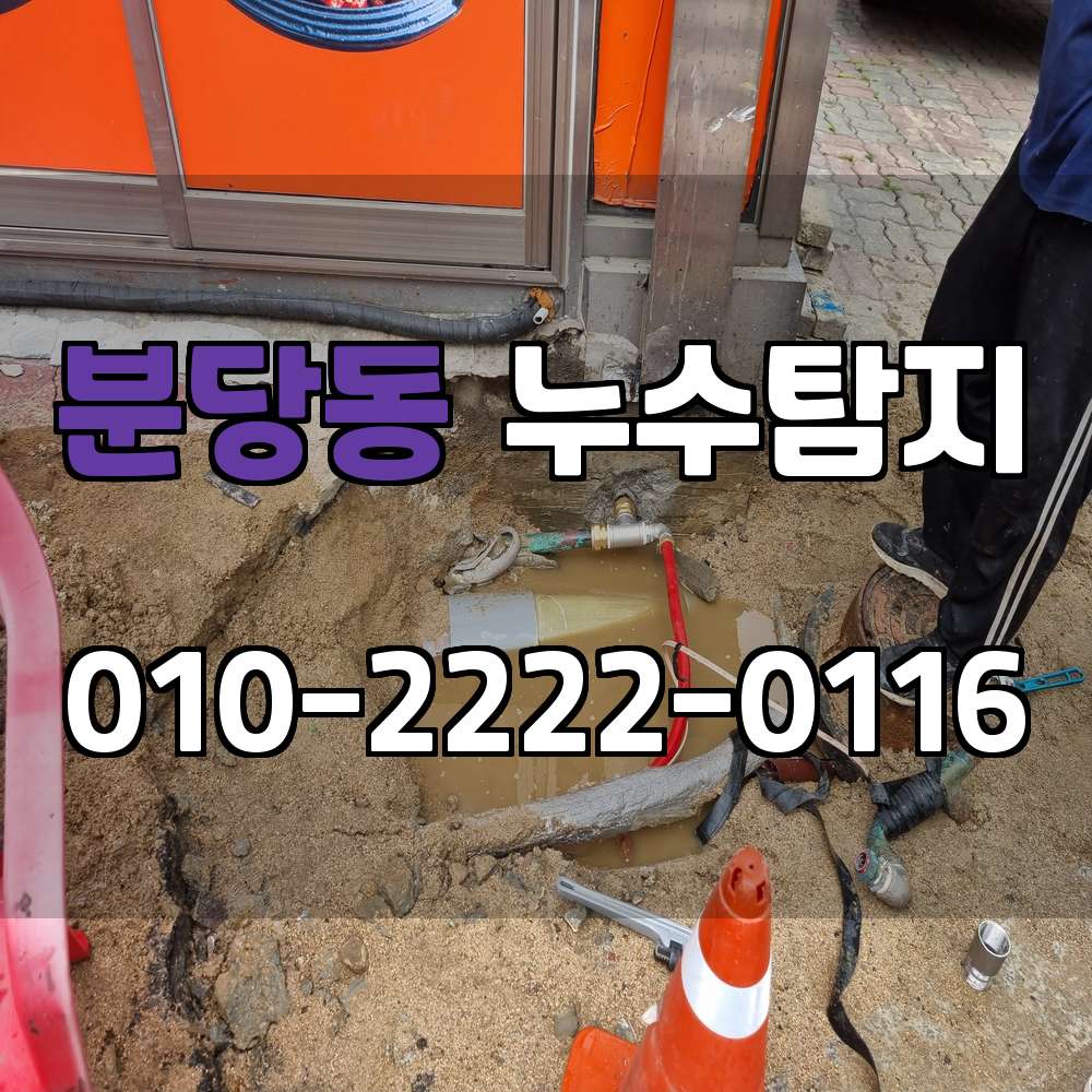 분당동 누수탐지 서비스 지역