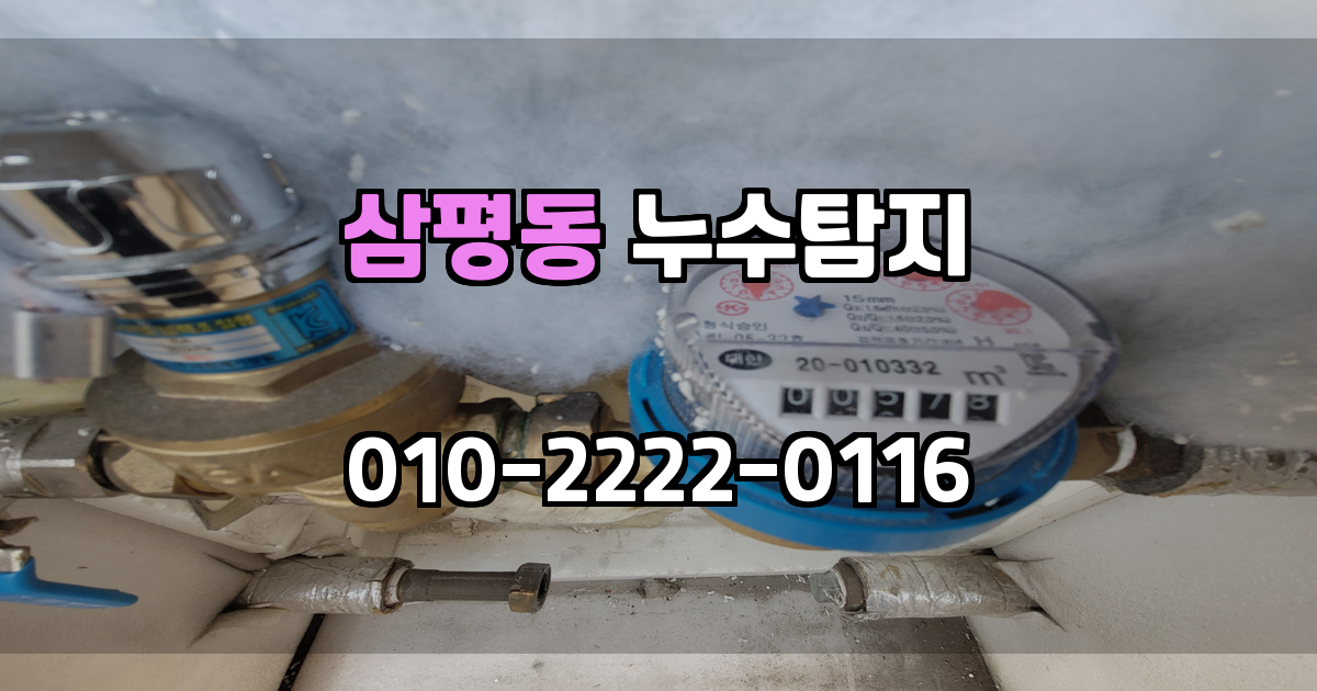 삼평동 누수탐지