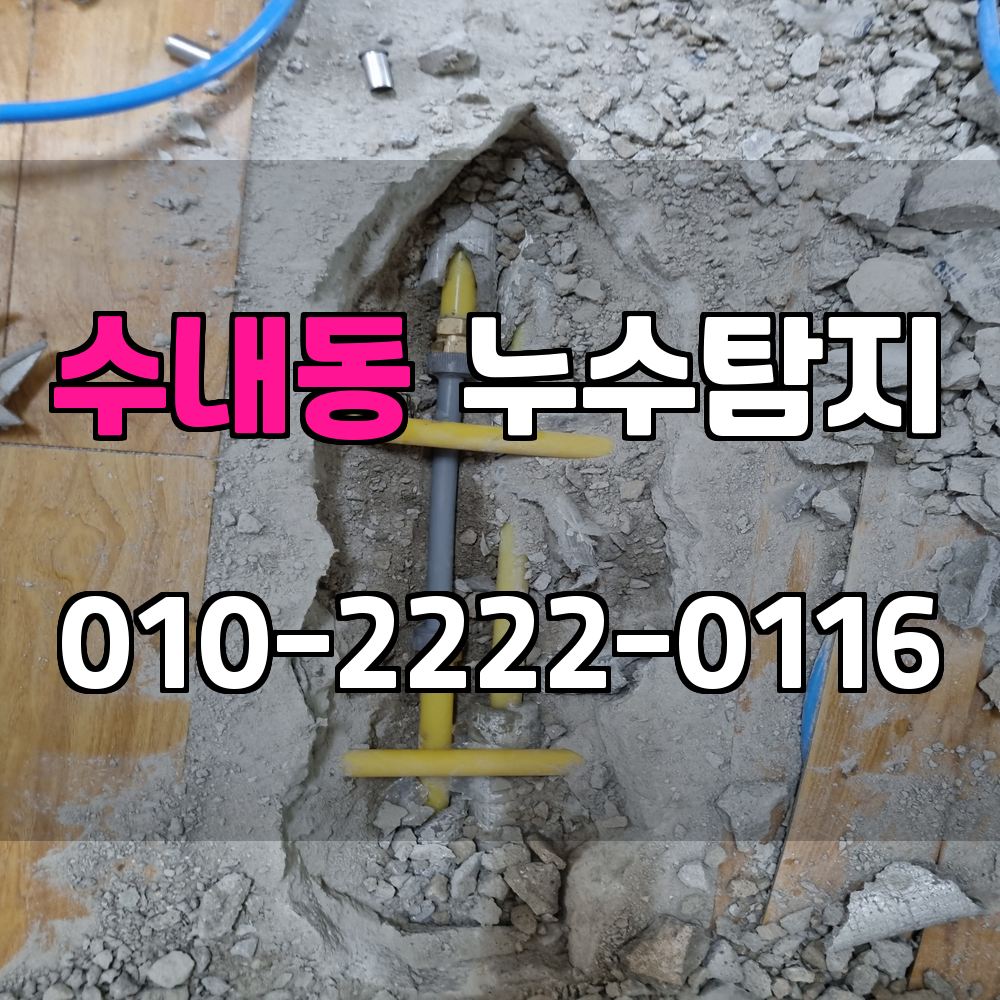 수내동 누수탐지 서비스 지역