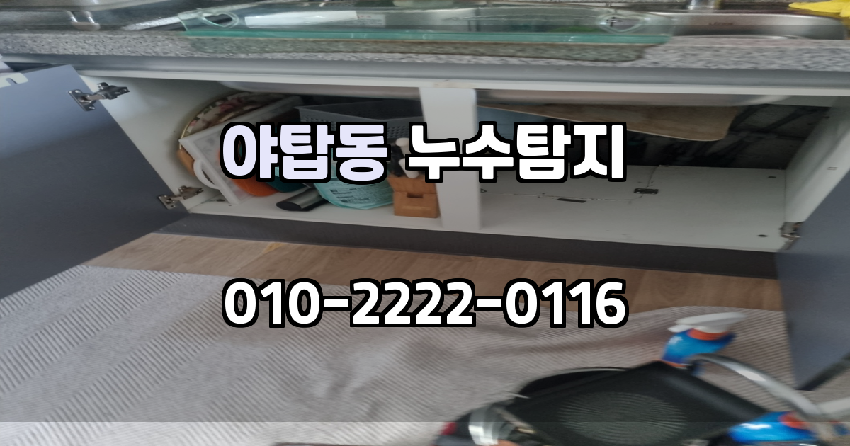 야탑동 누수탐지