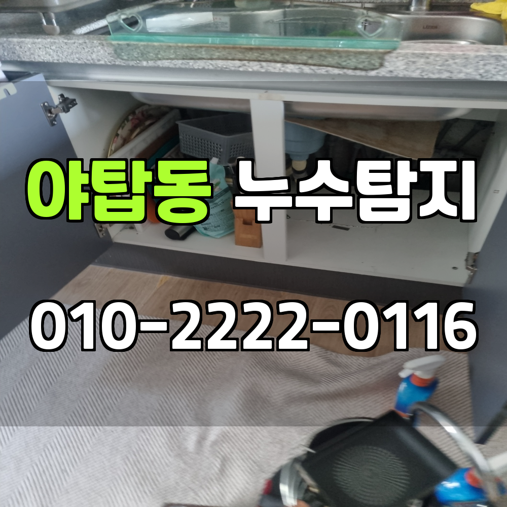 야탑동 누수탐지 서비스 지역