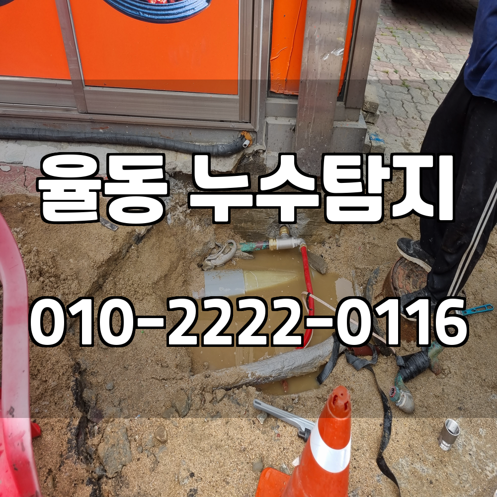 율동 누수탐지 서비스 지역