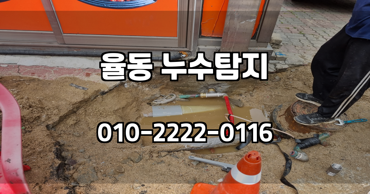 율동 누수탐지