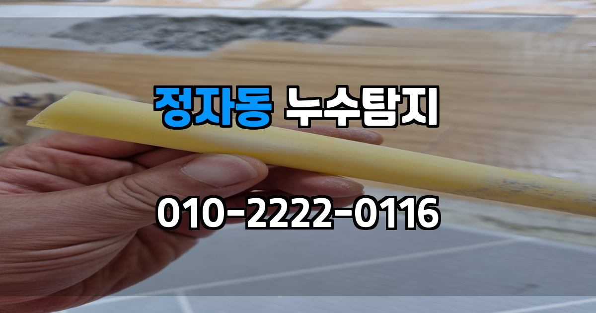 정자동 누수탐지