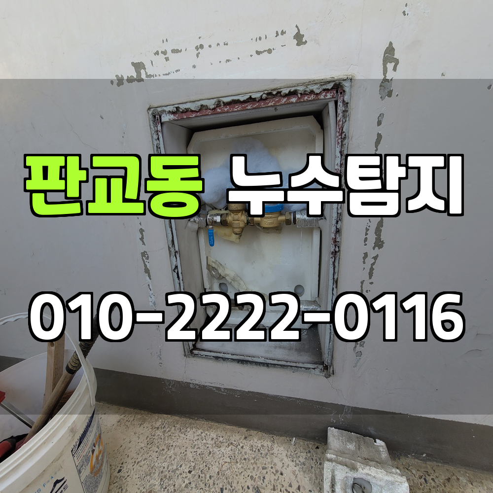 판교동 누수탐지 서비스 지역