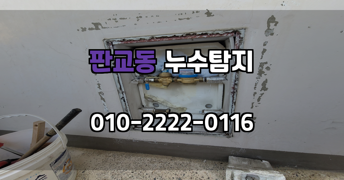 판교동 누수탐지