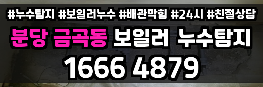 분당 금곡동 보일러 누수