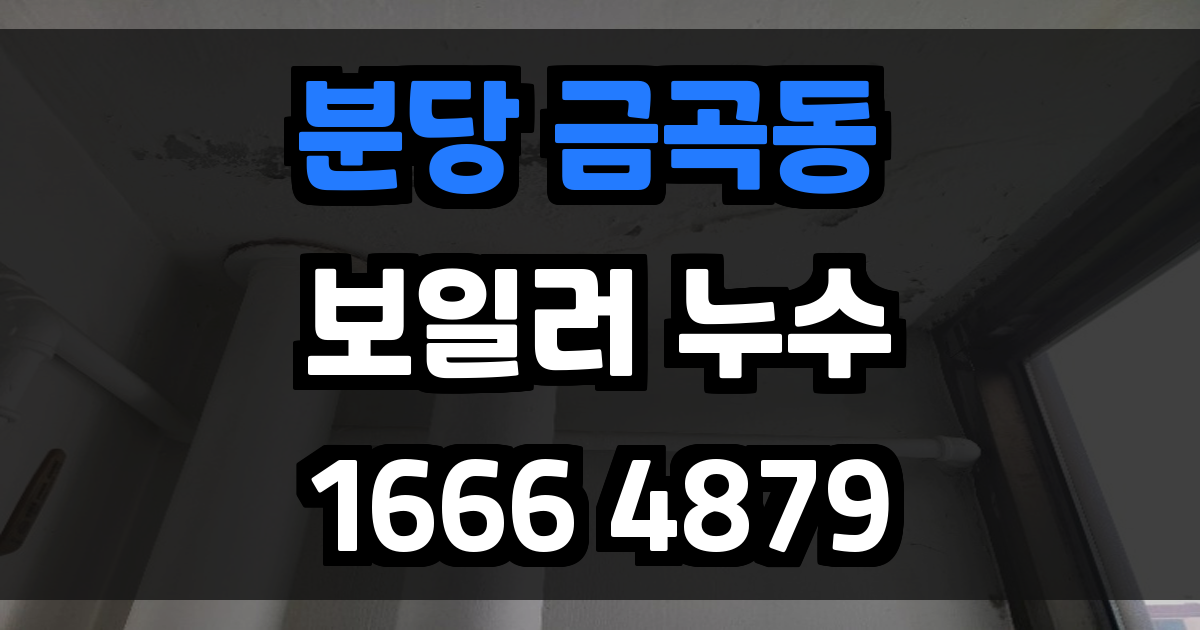 분당 금곡동 보일러 누수