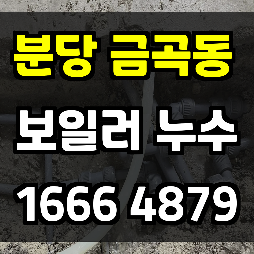분당 금곡동 보일러 누수탐지로 난방 문제 사전 예방