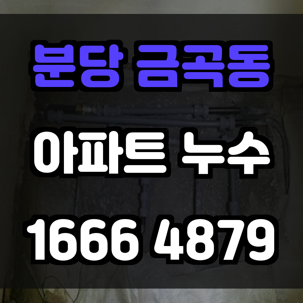 분당 금곡동 아파트 누수탐지 정밀 진단으로 피해 없이 빠르게 해결하세요
