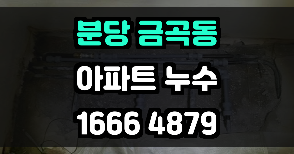분당 금곡동 아파트 누수