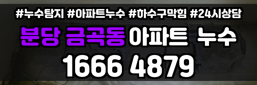 분당 금곡동 아파트 누수