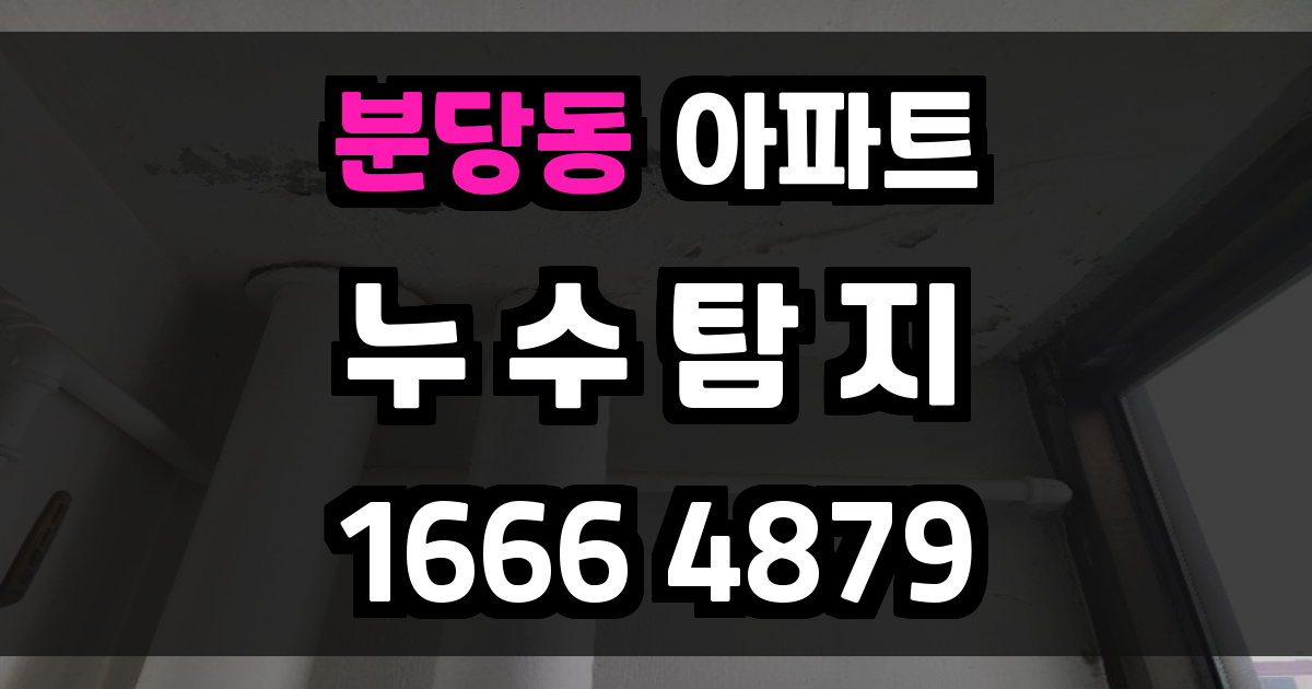 분당동 아파트 누수