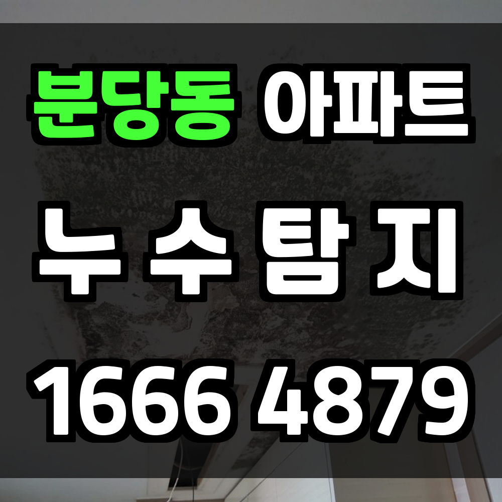 분당동 아파트 누수