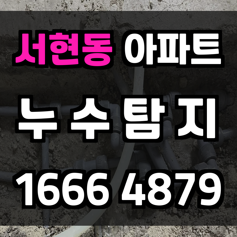 서현동 아파트 누수탐지 작은 물샘도 정확히 진단합니다