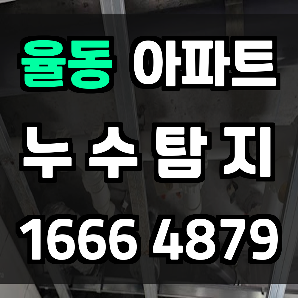 율동 아파트 누수탐지 작은 습기도 놓치지 않습니다