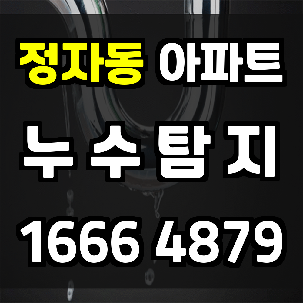 정자동 아파트 누수탐지 확실한 진단으로 피해를 미리 차단하세요