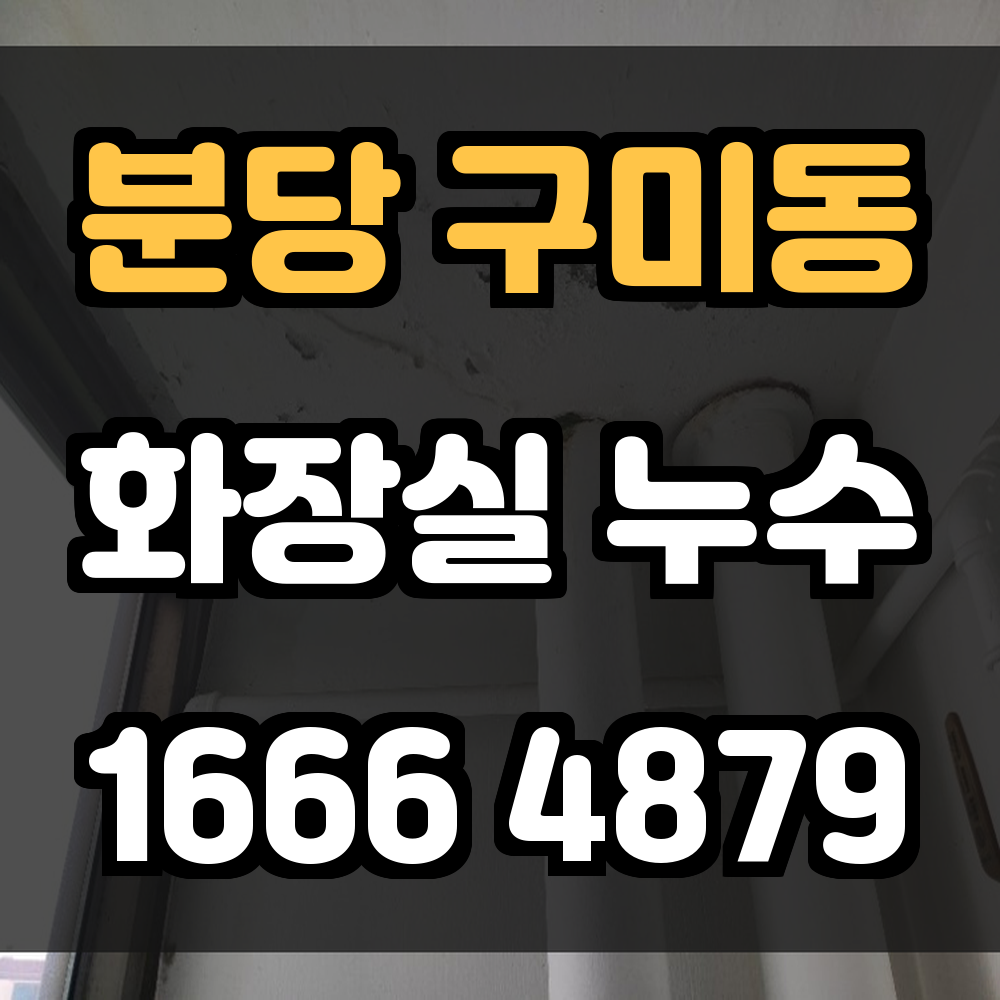 분당 구미동 화장실 누수