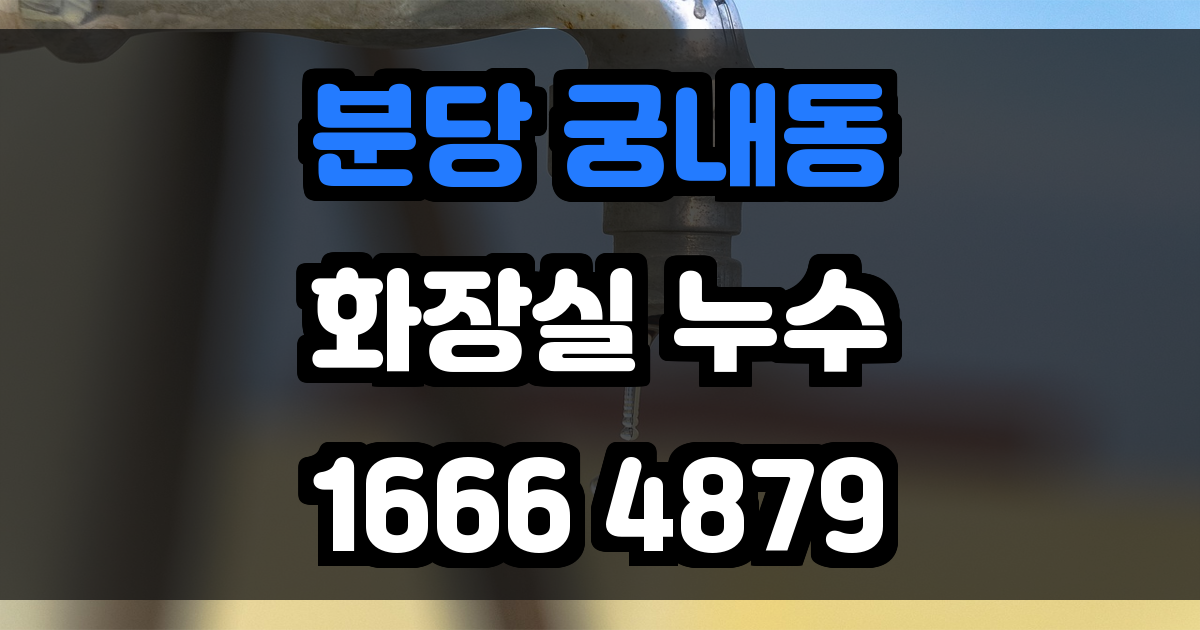 분당 궁내동