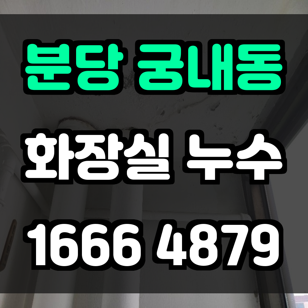 분당 궁내동 화장실 누수