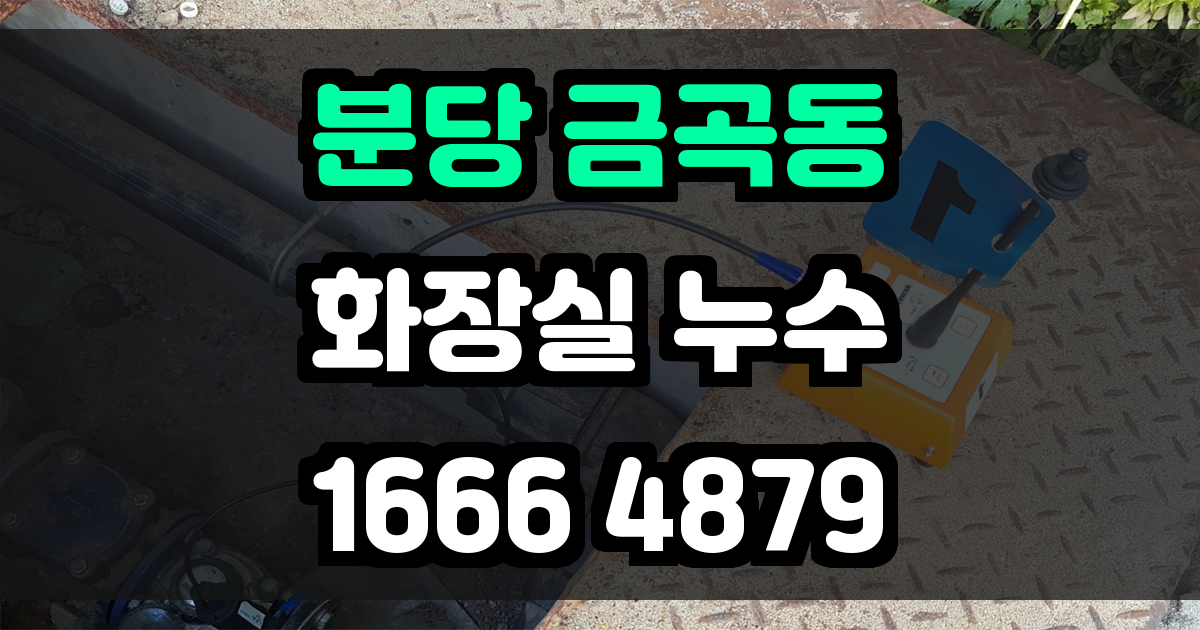 분당 금곡동 화장실 누수