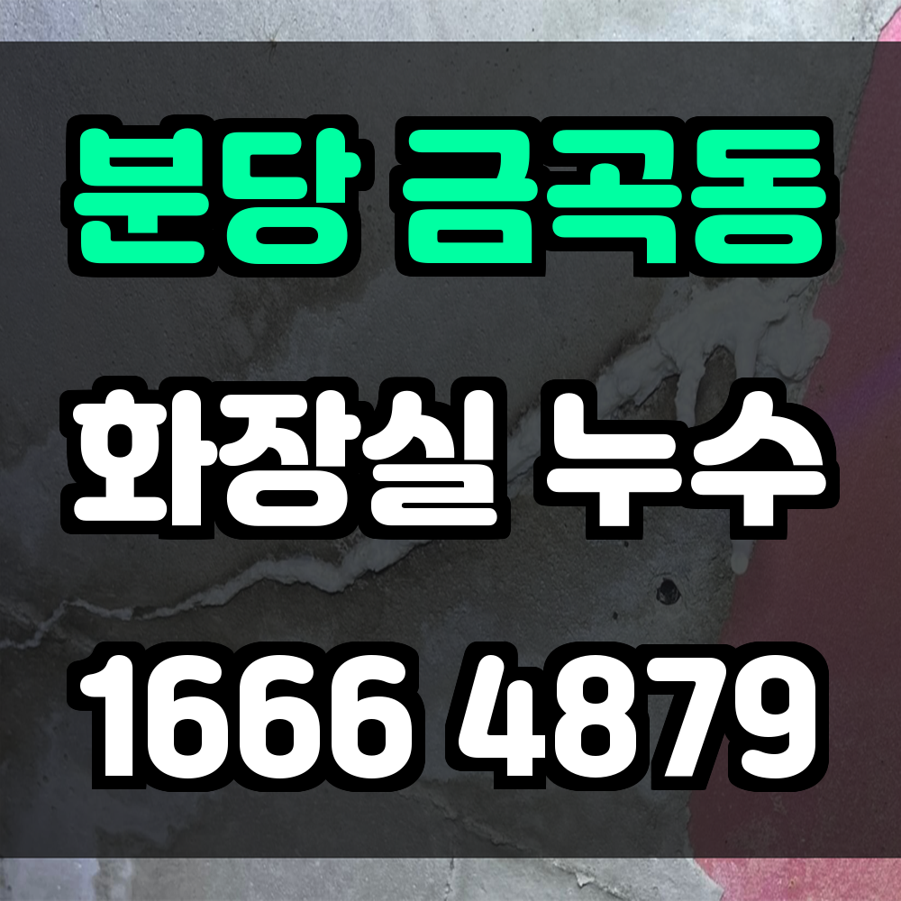 분당 금곡동 화장실 누수