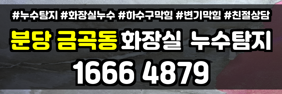 분당 금곡동 화장실 누수