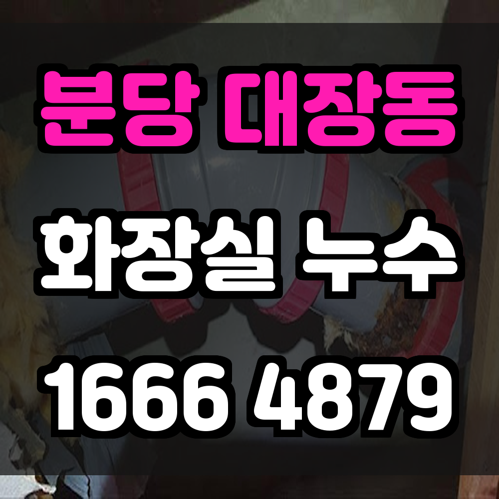 분당 대장동 화장실 누수