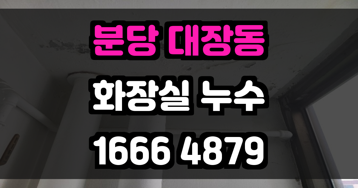 분당 대장동 화장실 누수