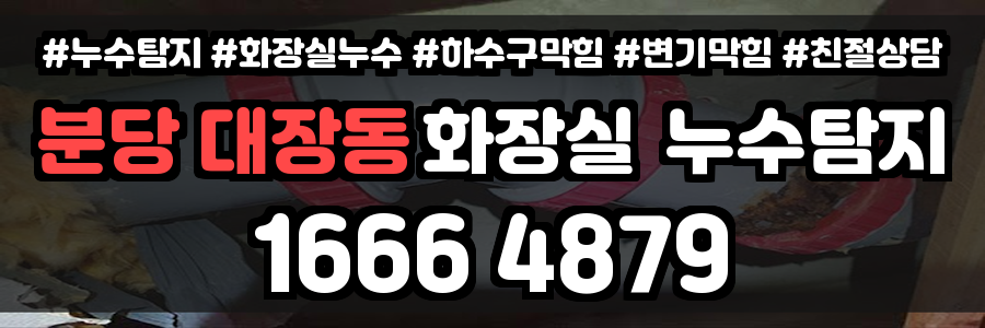 분당 대장동 화장실 누수