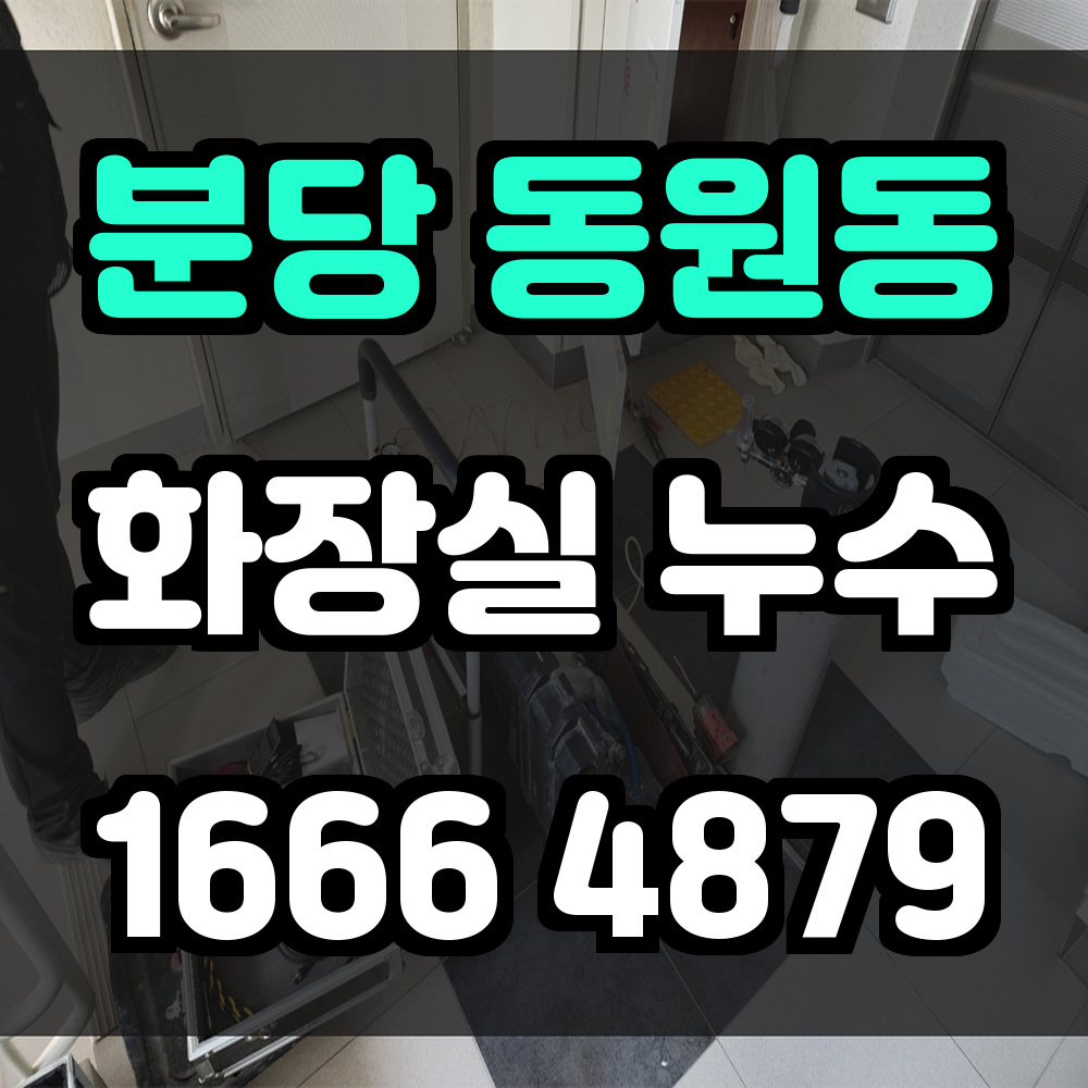 분당 동원동 화장실 누수