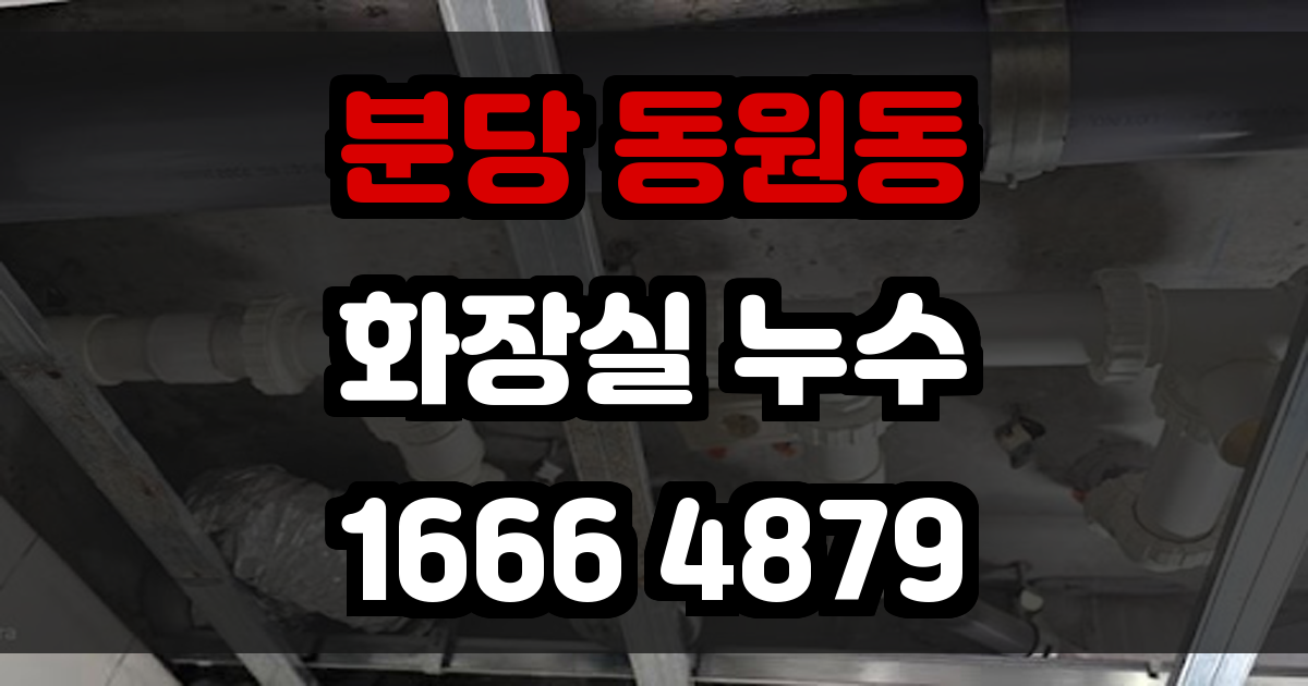 분당 동원통