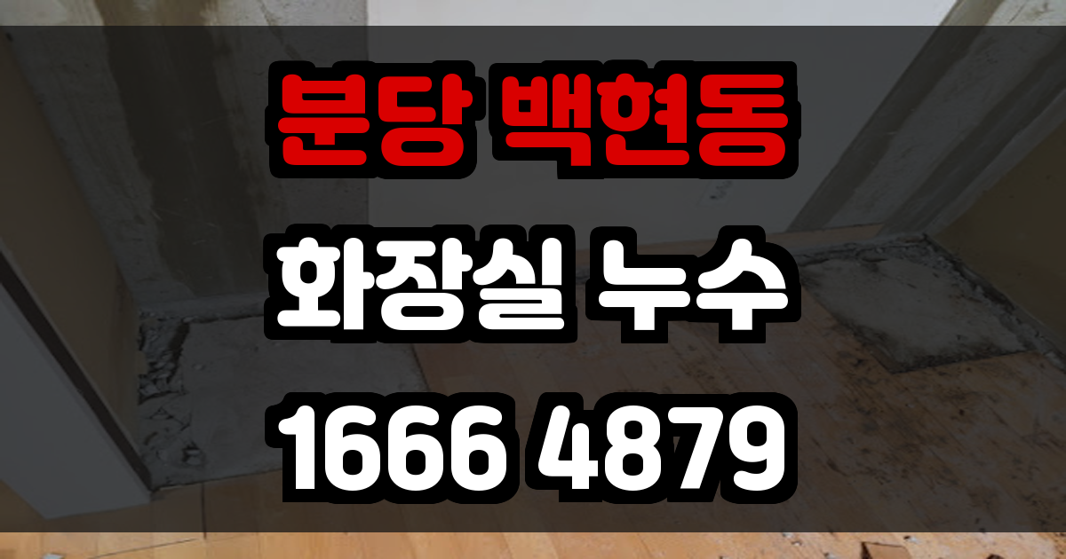 분당 백현동 화장실 누수