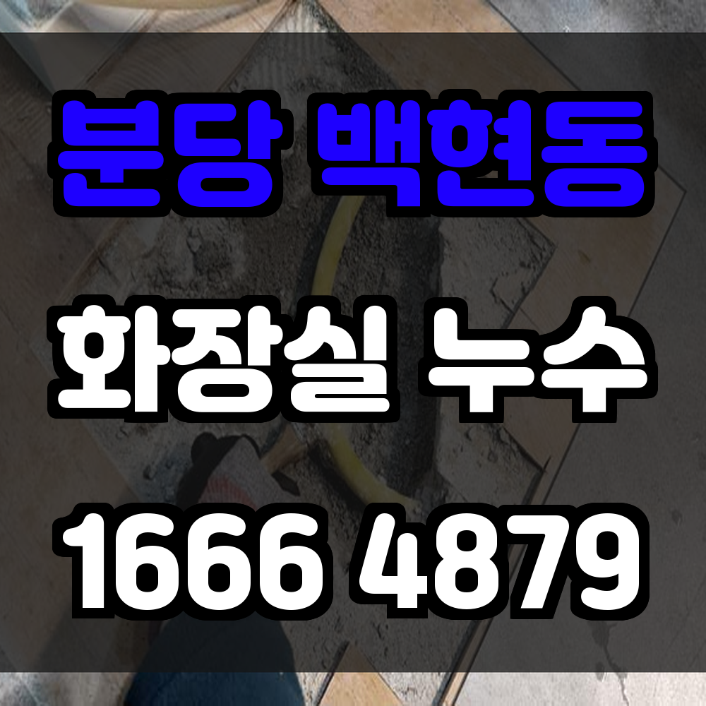 분당 백현동 화장실 누수