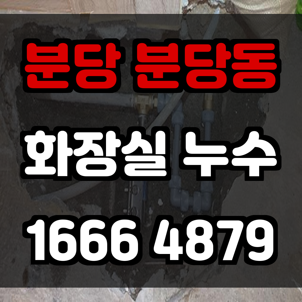 분당 분당동 화장실 누수