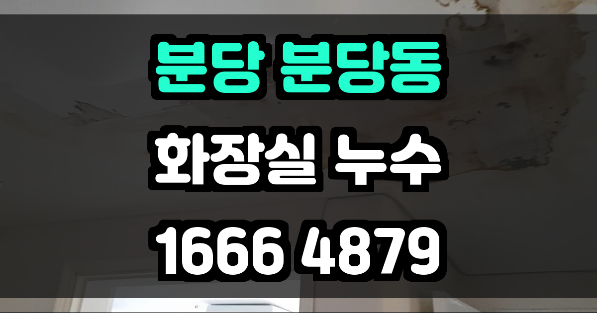 분당 분당동 화장실 누수