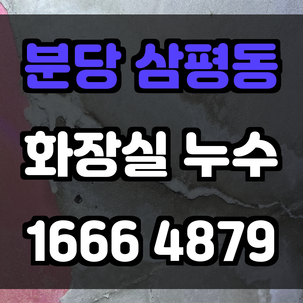 분당 삼평동 화장실 누수