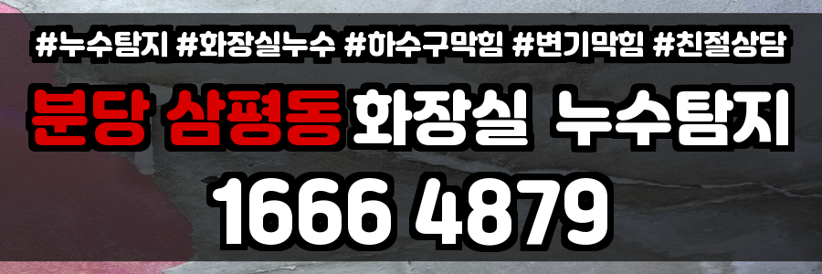 분당 삼평동 화장실 누수