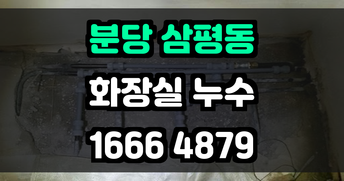 분당 삼평동 화장실 누수