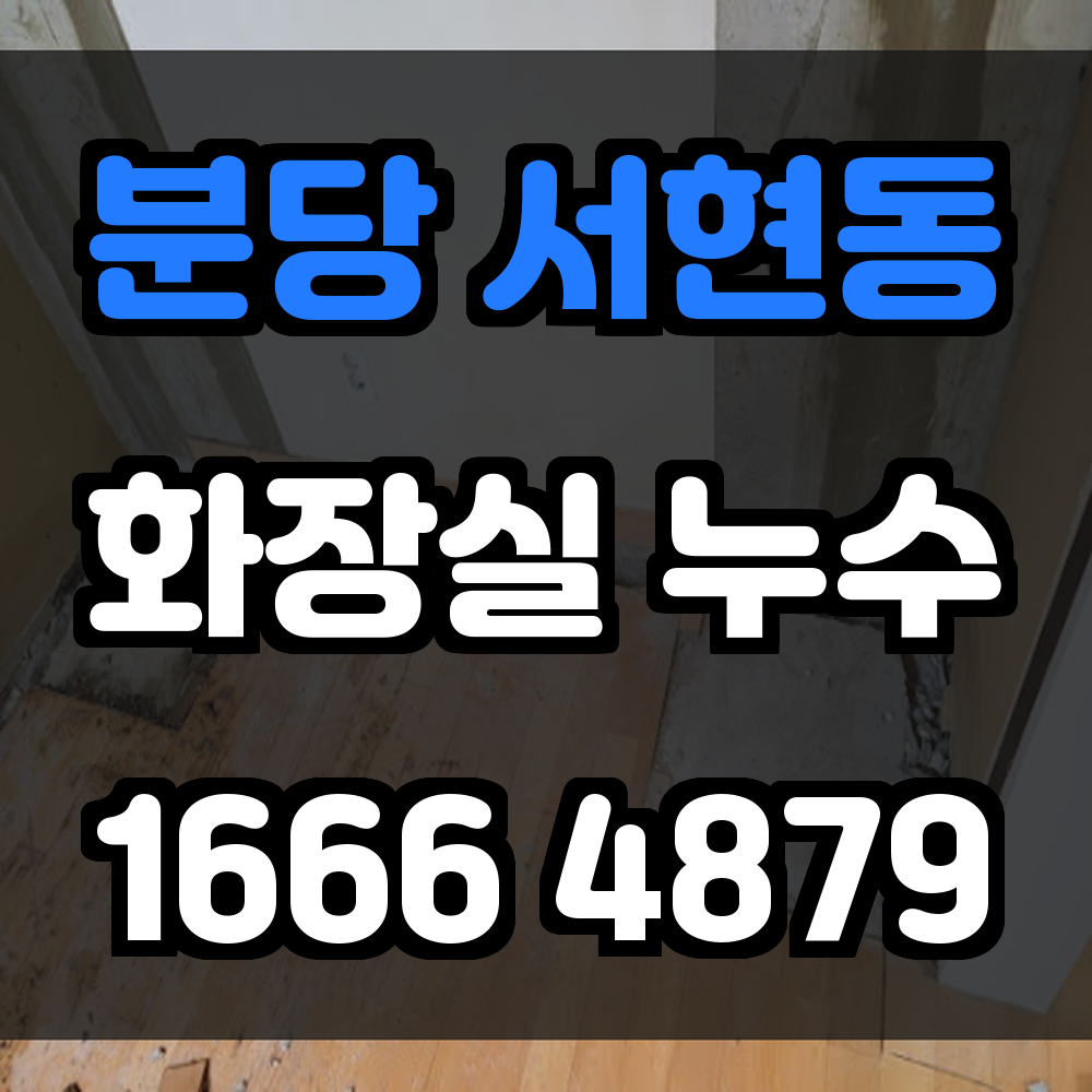 분당 서현동 화장실 누수
