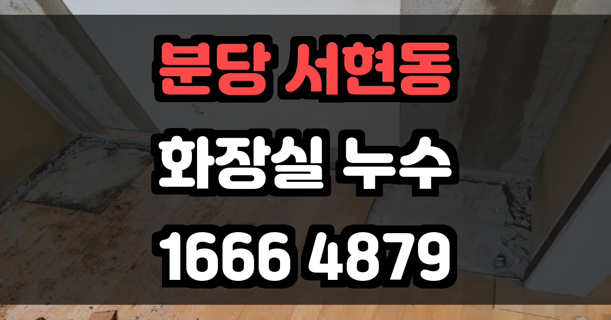 분당 서현동 화장실 누수