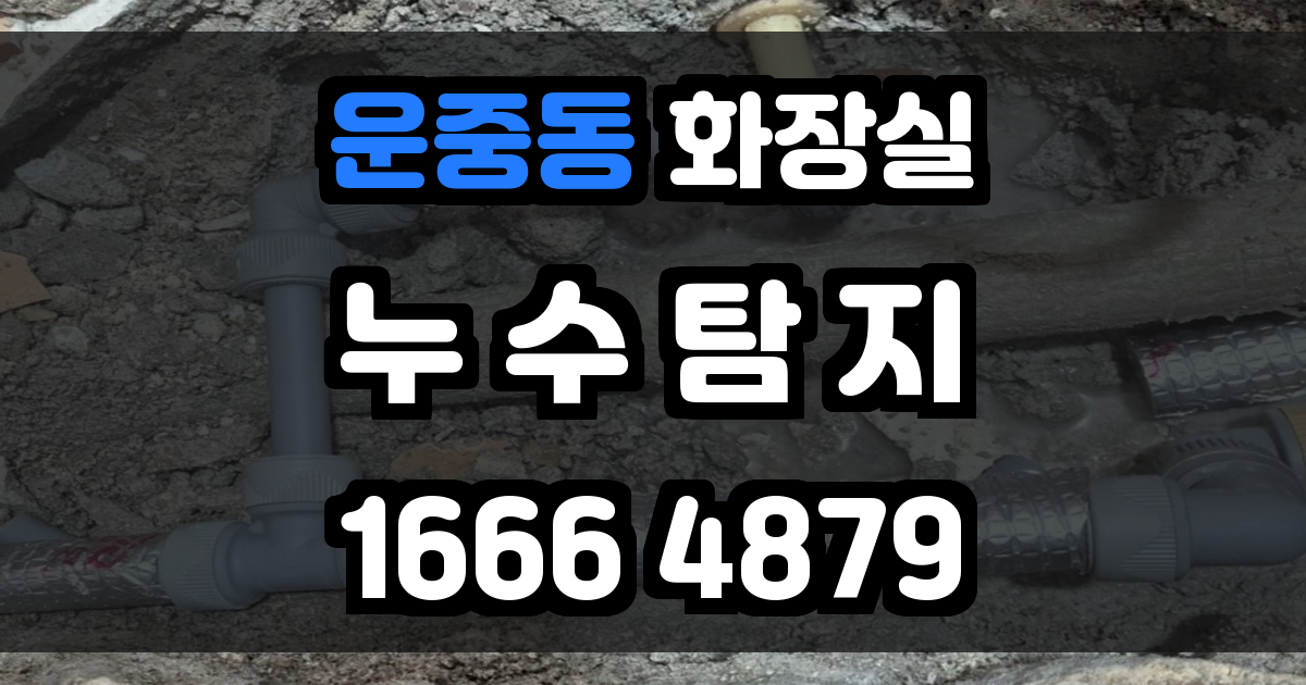 운중동 화장실 누수