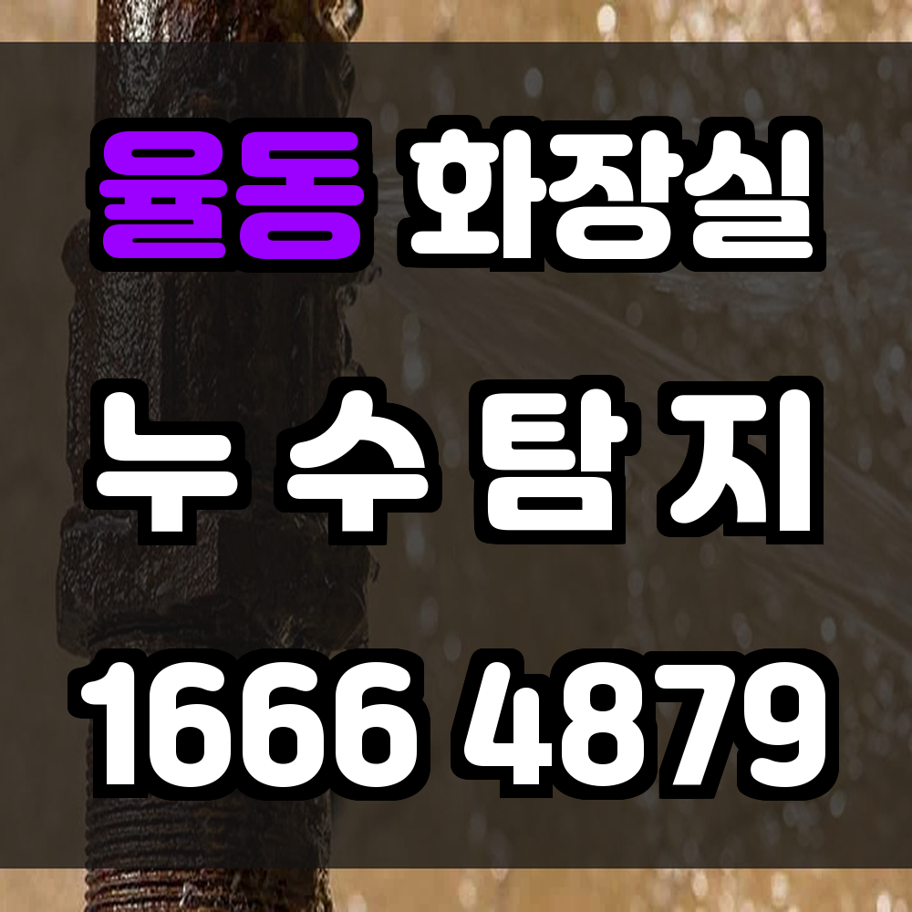 율동 화장실 누수