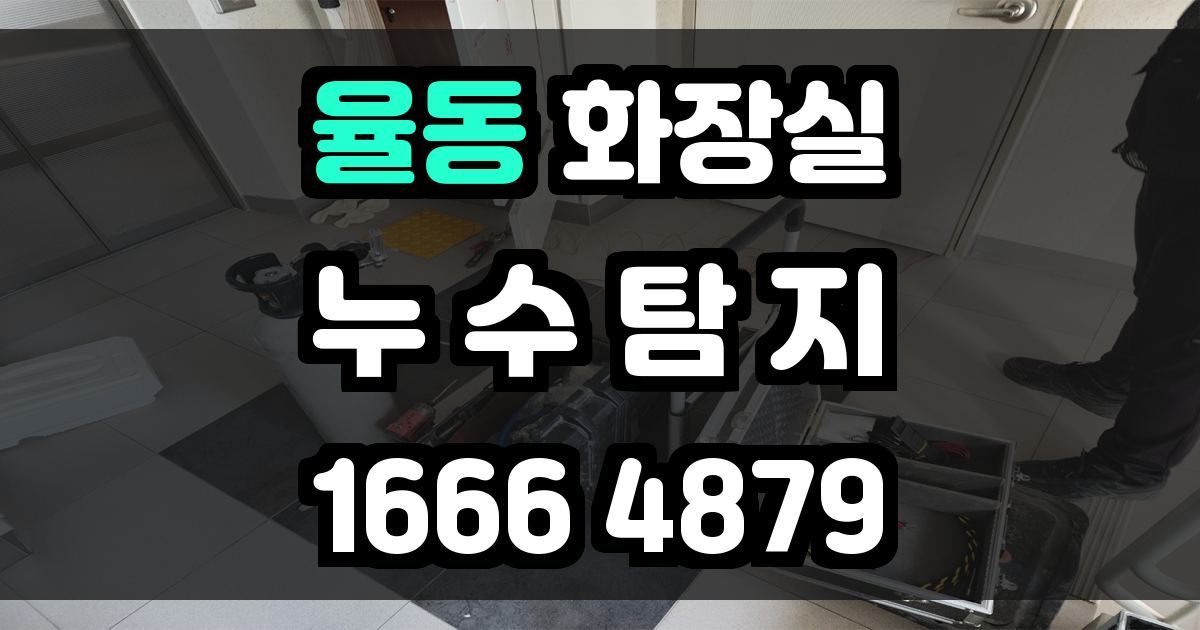 율동 화장실 누수