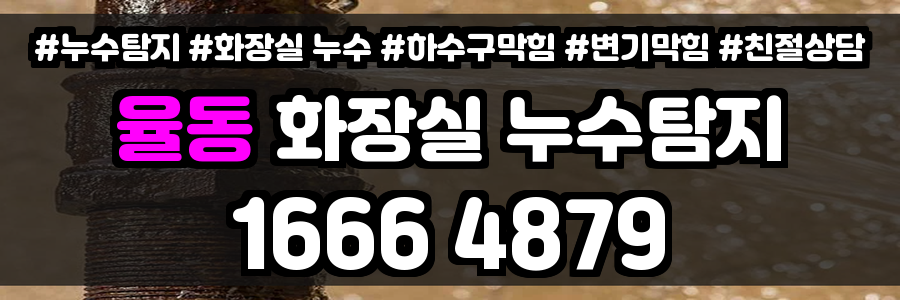 율동 화장실 누수