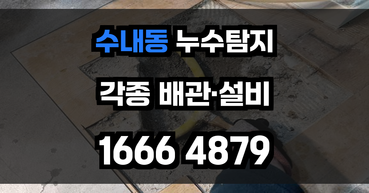 수내동 누수탐지